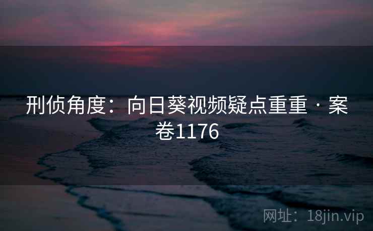 刑侦角度：向日葵视频疑点重重 · 案卷1176