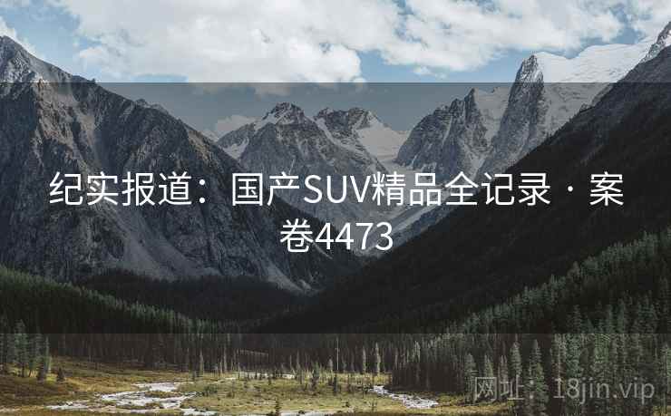 纪实报道：国产SUV精品全记录 · 案卷4473