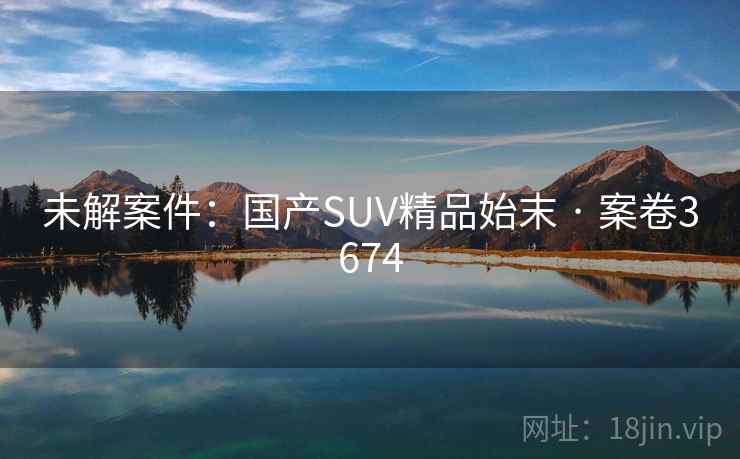 未解案件:国产SUV精品始末 · 案卷3674