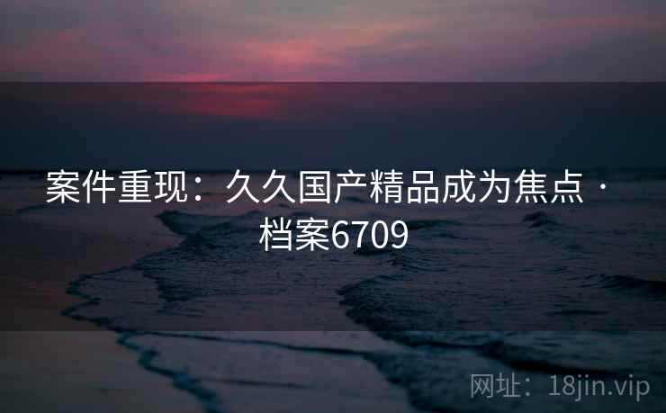 案件重现:久久国产精品成为焦点 · 档案6709