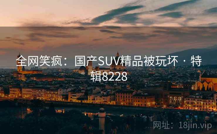 全网笑疯:国产SUV精品被玩坏 · 特辑8228