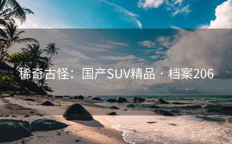 稀奇古怪：国产SUV精品 · 档案206