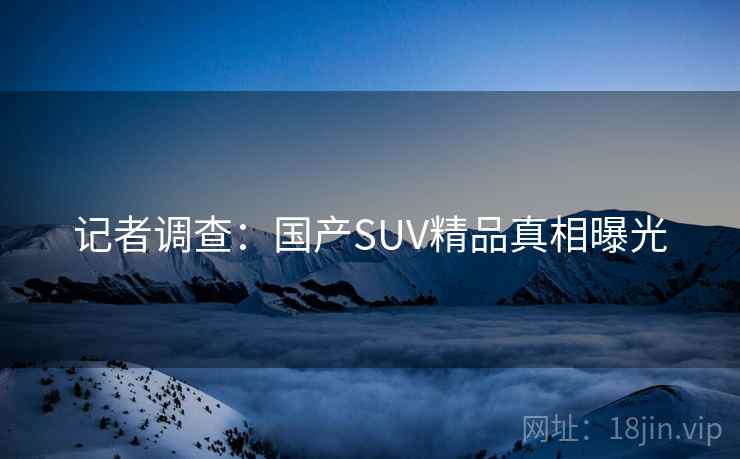 记者调查:国产SUV精品真相曝光